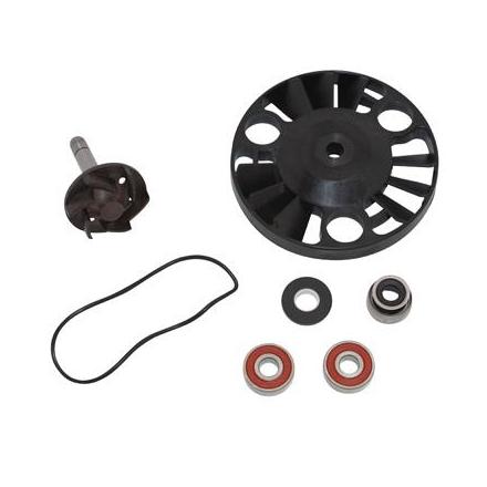 14001 KIT REPARATION POMPE A EAU MAXISCOOTER ADAPTABLE PIAGGIO 125 X8, X9, BEVERLY, VESPA GTS-GILERA 125 NEXUS, RUNNER, DNA-APRI