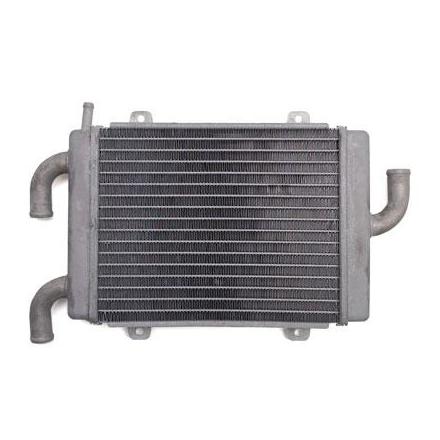 14212 RADIATEUR SCOOT ADAPTABLE PEUGEOT 50 SPEEDFIGHT -SELECTION P2R- xxx Info 