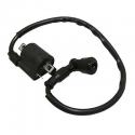 BOBINE ALLUMAGE 50 A BOITE ADAPTABLE GENERIC 50 TRIGGER - CPI 50 SM -P2R-