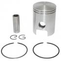 PISTON 50 A BOITE ADAPTABLE MINARELLI 50 AM6-BETA 50 RR-MBK 50 X-POWER, X-LIMIT-YAMAHA 50 TZR, DTR-PEUGEOT 50 XPS-RIEJU 50 RS1 (