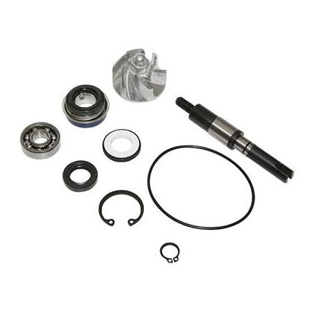 138616 KIT REPARATION POMPE A EAU MAXISCOOTER ADAPTABLE HONDA 125 SH 2001>, 125 PANTHEON 2003>, 125 DYLAN 2004> (KIT) -P2R- xxx