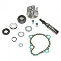 KIT REPARATION POMPE A EAU MAXISCOOTER ADAPTABLE KYMCO 300 DOWNTOWN 2010- (KIT) -P2R-