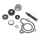 138617 KIT REPARATION POMPE A EAU MAXISCOOTER ADAPTABLE YAMAHA 250 MAJESTY 1998>-MBK 250 SKYLINER 1998> (KIT) -P2R- xxx Info P2