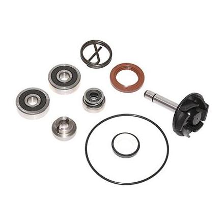 138618 KIT REPARATION POMPE A EAU MAXISCOOTER ADAPTABLE PIAGGIO 250 BEVERLY 2004>2005 (KIT) -P2R- xxx Info P2R (Motorisé) 