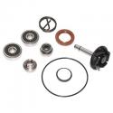 KIT REPARATION POMPE A EAU MAXISCOOTER ADAPTABLE PIAGGIO 250 BEVERLY 2004-2005 (KIT) -P2R-