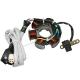 138637 STATOR ALLUMAGE MAXISCOOTER ADAPTABLE PIAGGIO 125 LIBERTY 1998>2005, 125 VESPA ET4 1998>2005, 125 HEXAGON LX4 JUSQU'A 199