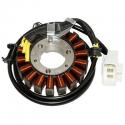 STATOR ALLUMAGE MAXISCOOTER ADAPTABLE HONDA 125 S WING 2007- (18 POLES) -SGR-