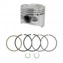 PISTON (CAT-D) ORIGINE PIAGGIO 125 MP3 2007-, BEVERLY 2005-, X8 2004-, X9 2003-, X10 2012-, X-EVO 2007-, VESPA GTS 2007--GILERA 