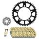 186477 KIT CHAINE ADAPTABLE BMW 1000 S XR 2020>2021 525 17x45 (DIAM COURONNE 119-140-12.2) (DEMULTIPLICATION ORIGINE) -AFAM