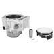 204970 CYLINDRE PISTON ORIGINE PIAGGIO 530 MP3 2022+ -1A024944- p2r catégorie PIAGGIO | Fp-moto.com garage moto albi atelier r